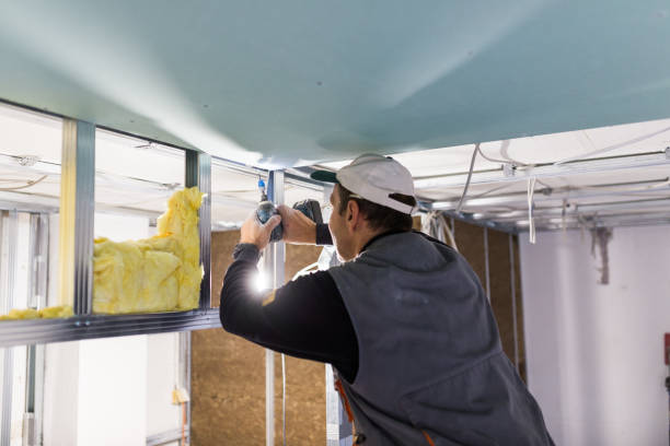 Professional Insulation Contractor in Woodstock, IL