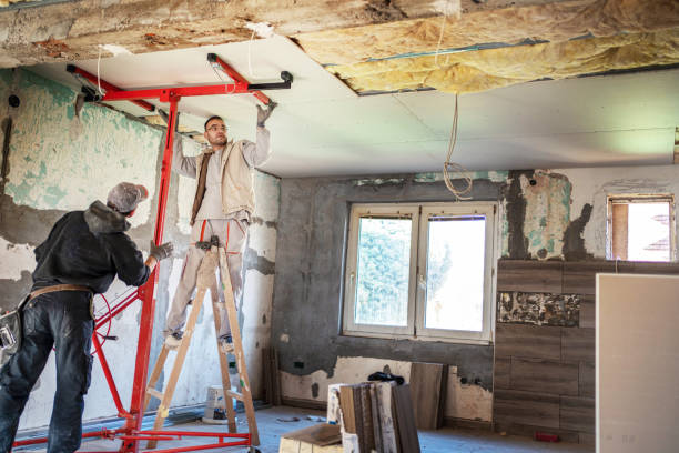 Professional Insulation Contractor in Woodstock, IL
